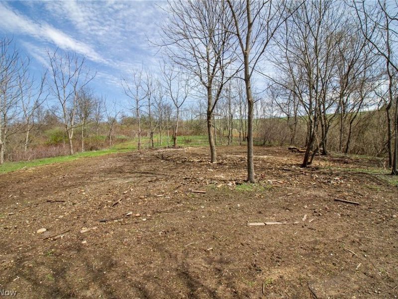 11 ac Whiskey Run Road, Quaker City, OH 43773 Photo 15