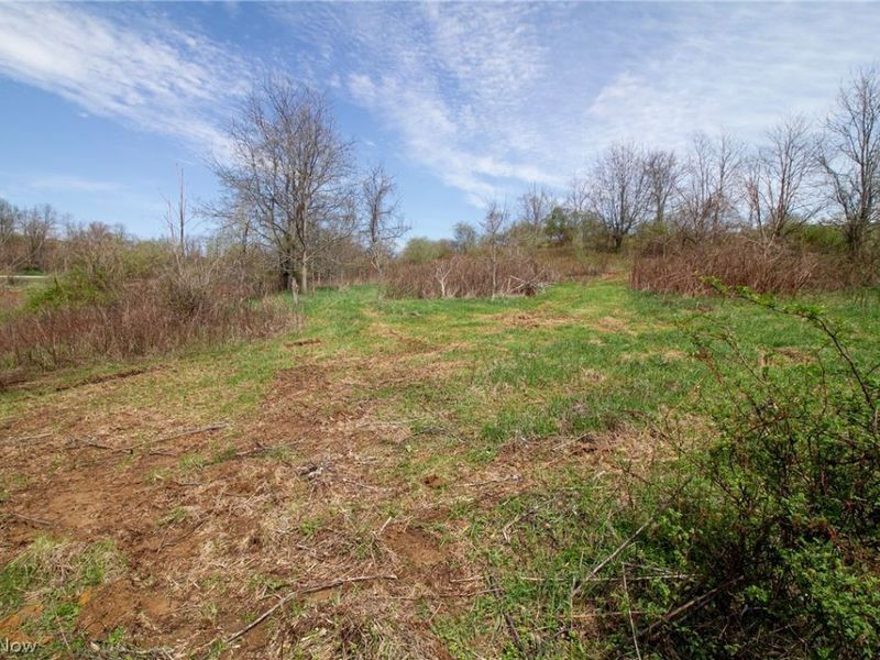 11 ac Whiskey Run Road, Quaker City, OH 43773 Photo 17