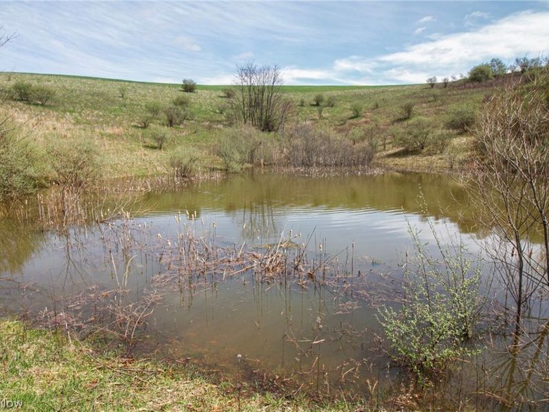 11 ac Whiskey Run Road, Quaker City, OH 43773 Photo 18