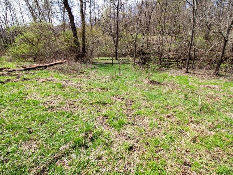 11 ac Whiskey Run Road, Quaker City, OH 43773 Photo 20