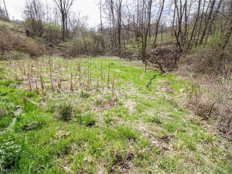 11 ac Whiskey Run Road, Quaker City, OH 43773 Photo 21