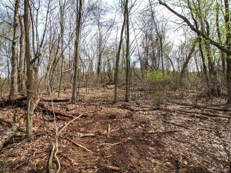 11 ac Whiskey Run Road, Quaker City, OH 43773 Photo 22
