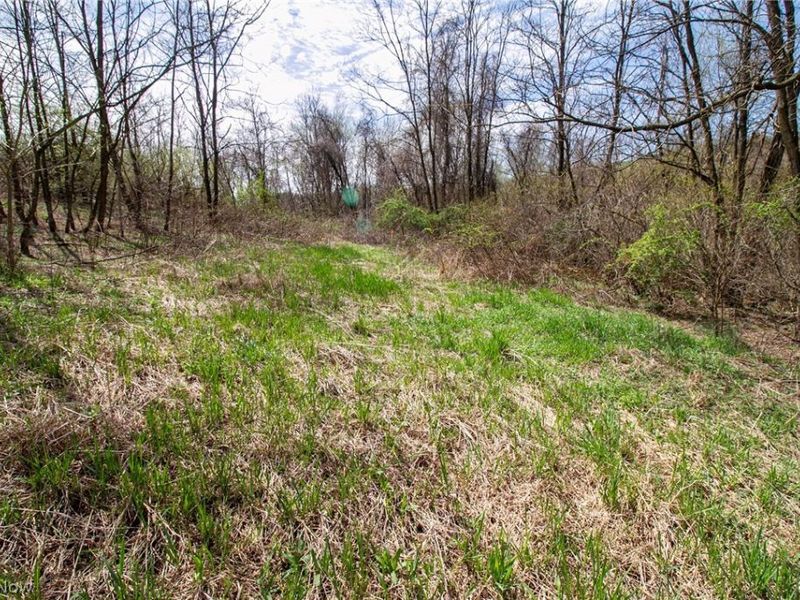 11 ac Whiskey Run Road, Quaker City, OH 43773 Photo 24