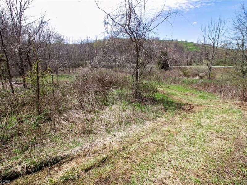 11 ac Whiskey Run Road, Quaker City, OH 43773 Photo 28