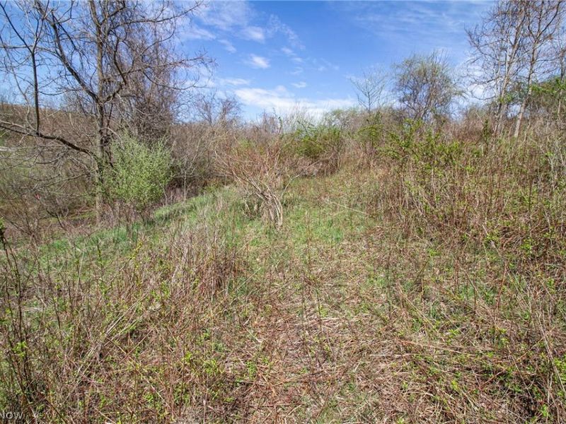 11 ac Whiskey Run Road, Quaker City, OH 43773 Photo 29