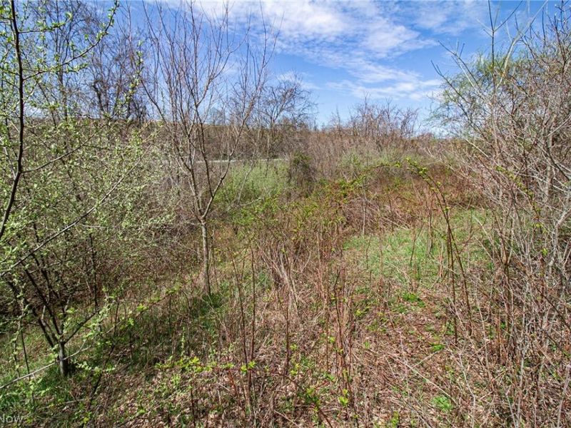 11 ac Whiskey Run Road, Quaker City, OH 43773 Photo 30