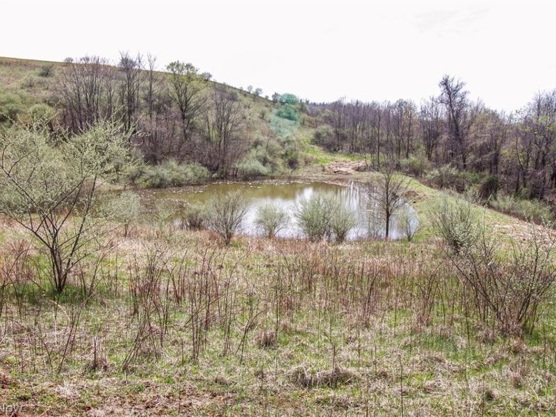 11 ac Whiskey Run Road, Quaker City, OH 43773 Photo 31
