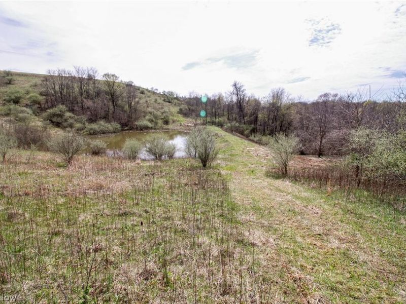 11 ac Whiskey Run Road, Quaker City, OH 43773 Photo 32