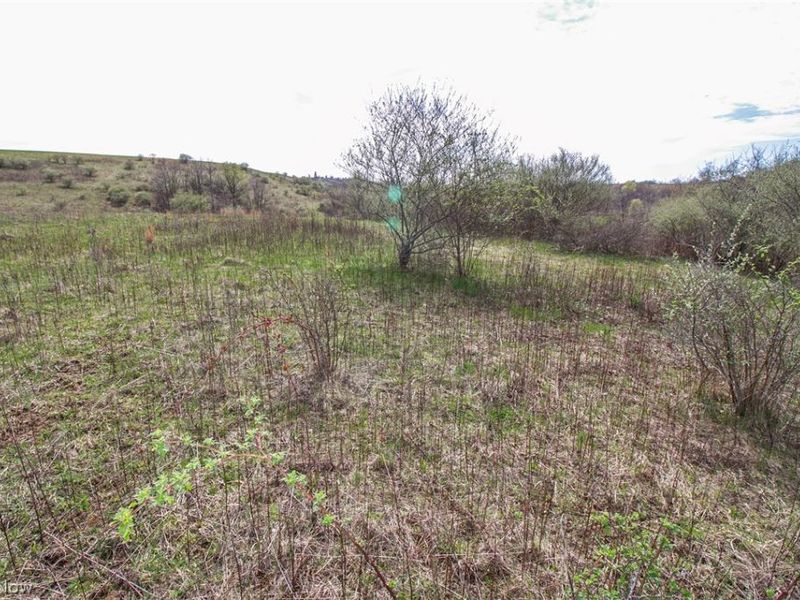 11 ac Whiskey Run Road, Quaker City, OH 43773 Photo 34