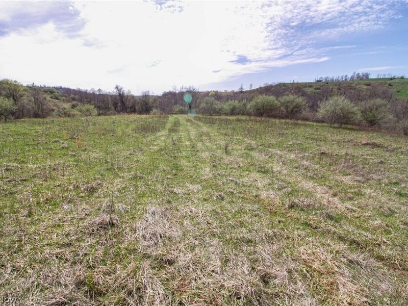 11 ac Whiskey Run Road, Quaker City, OH 43773 Photo 35