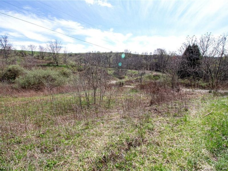 11 ac Whiskey Run Road, Quaker City, OH 43773 Photo 7