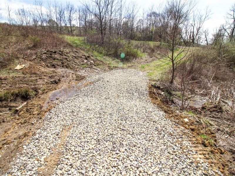 11 ac Whiskey Run Road, Quaker City, OH 43773 Photo 9