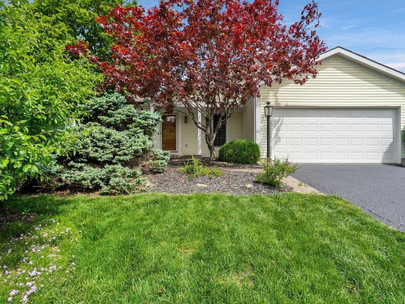 7784 Leaview Drive, Columbus, OH 43235 Photo 2