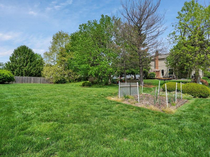 7784 Leaview Drive, Columbus, OH 43235 Photo 35