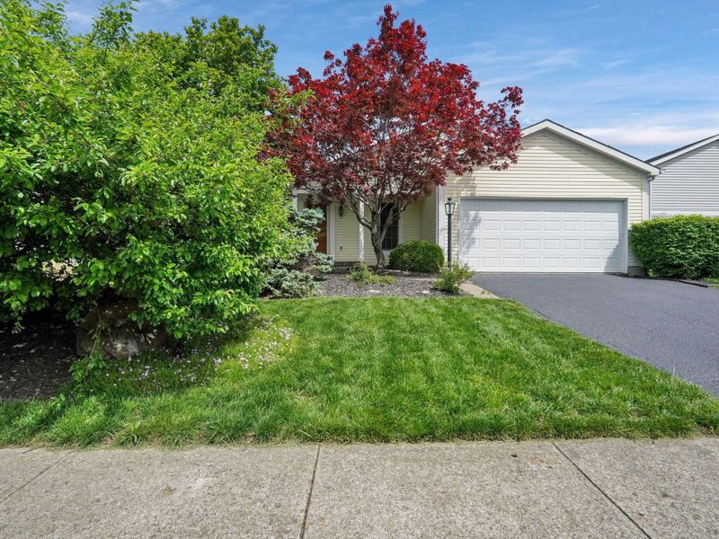 7784 Leaview Drive, Columbus, OH 43235 Photo 5