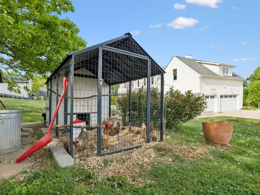Property Image 89