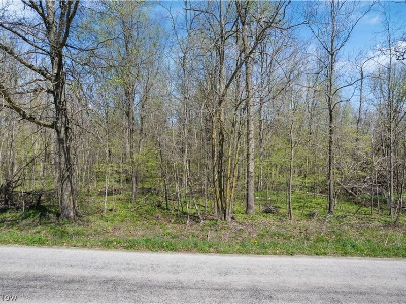 616 Township Road 150, Sullivan, OH 44880 Photo 1