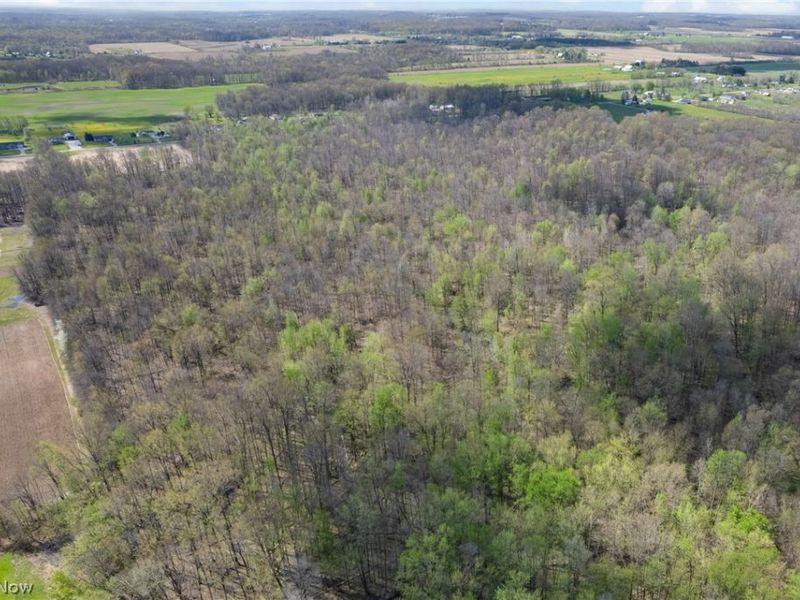 616 Township Road 150, Sullivan, OH 44880 Photo 4