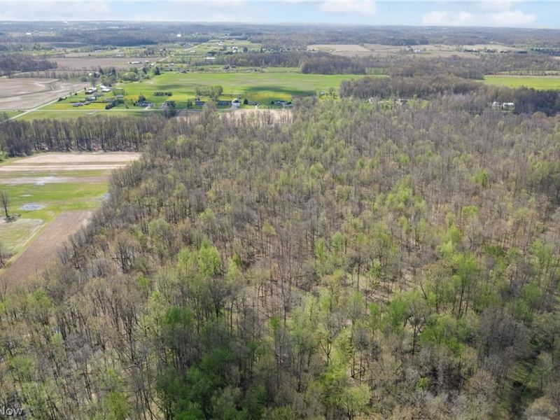616 Township Road 150, Sullivan, OH 44880 Photo 5