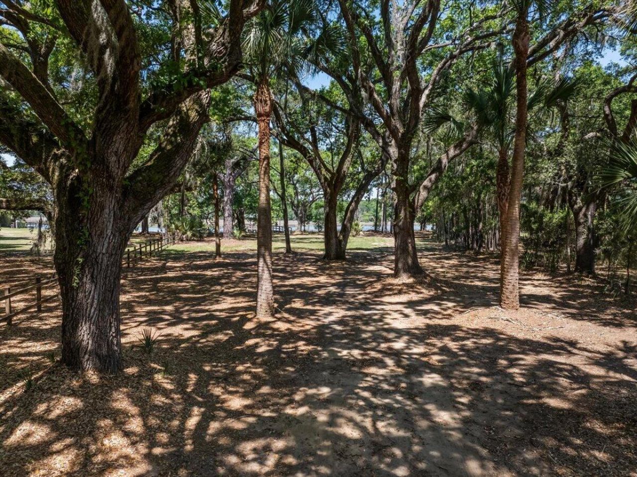 8958 Sandy Creek Road Photo 4