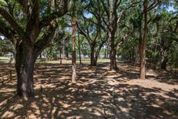 8958 Sandy Creek Road photo 4
