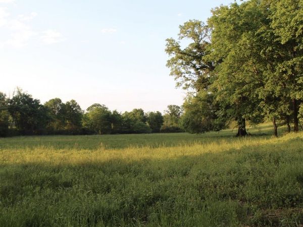 299 Harmony Lane , Amity, AR 71921