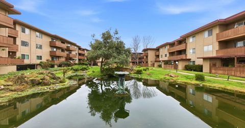 1305 Webster Street #202, Unit 202, Alameda, CA 94501 Photo