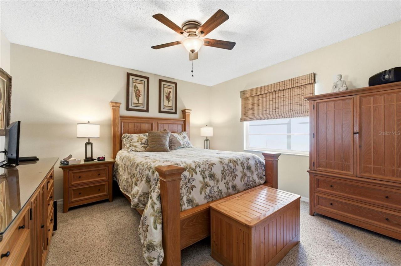 5226 Saltamonte Drive , New Port Richey, FL 34655 Photo