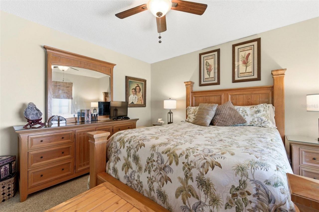 5226 Saltamonte Drive , New Port Richey, FL 34655 Photo