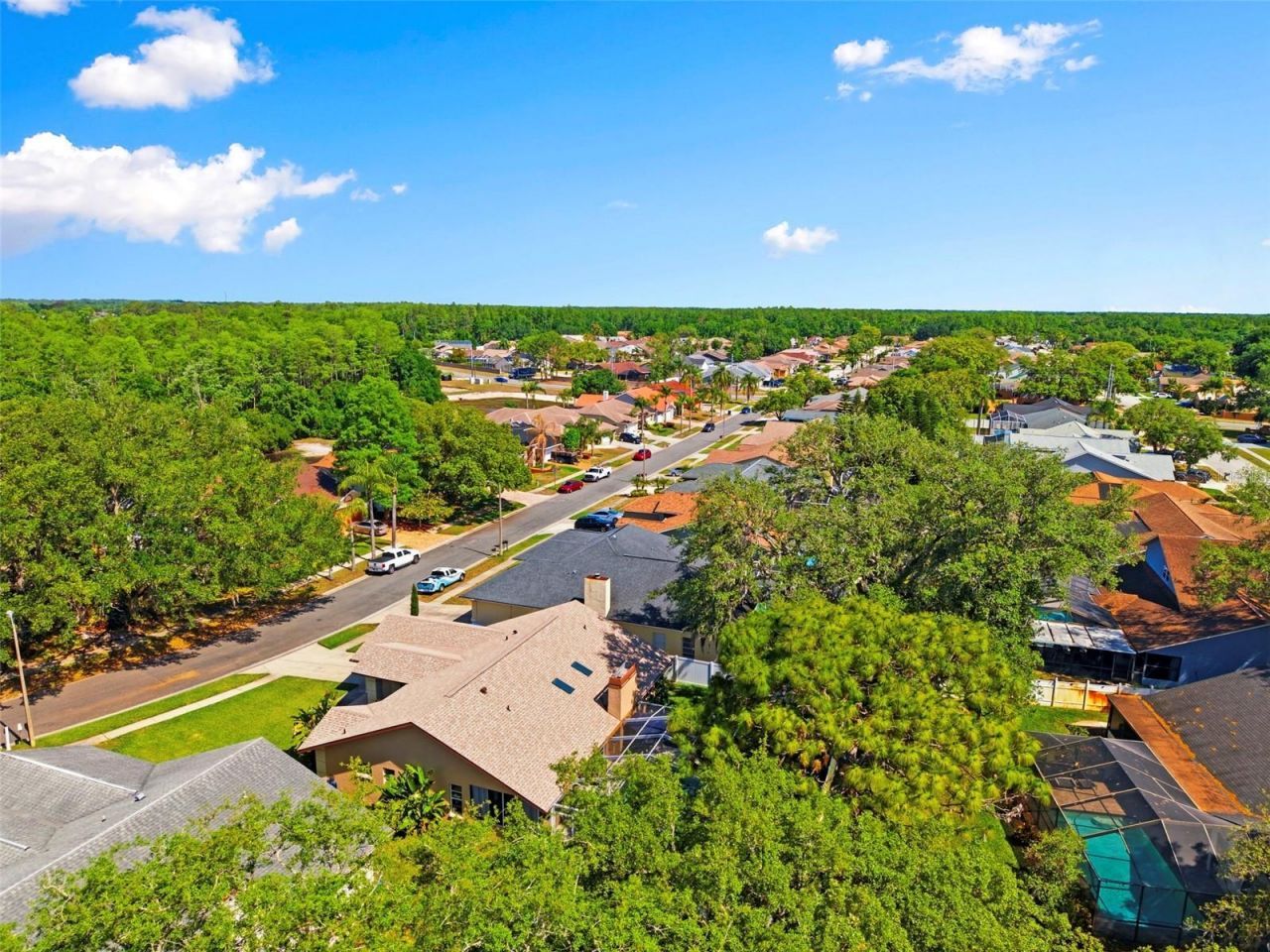 5226 Saltamonte Drive , New Port Richey, FL 34655 Photo