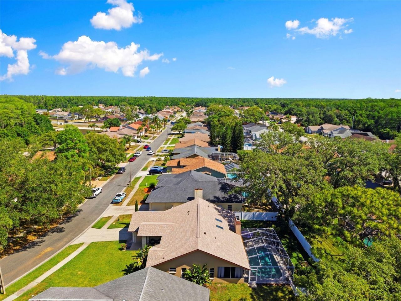 5226 Saltamonte Drive , New Port Richey, FL 34655 Photo