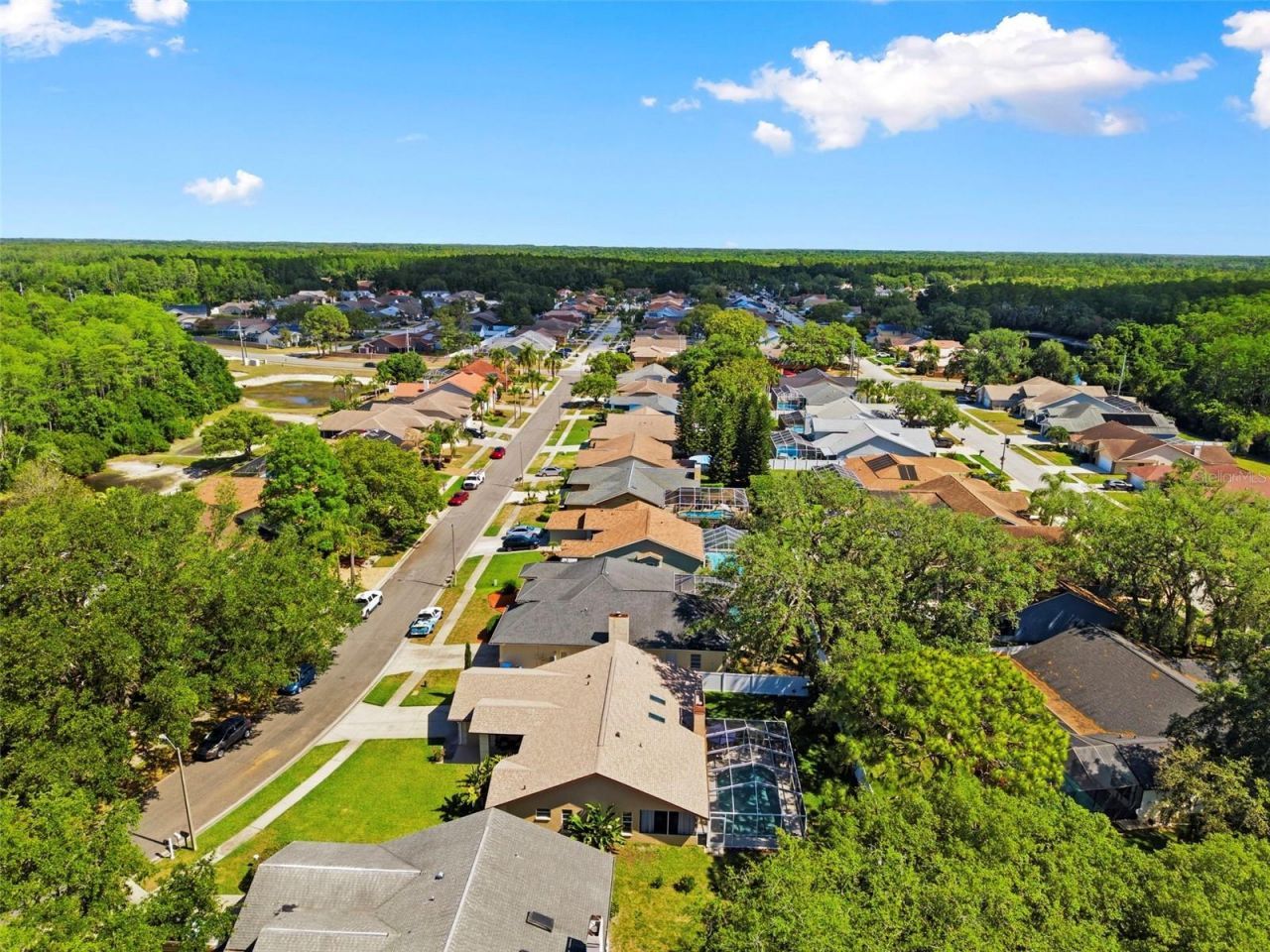 5226 Saltamonte Drive , New Port Richey, FL 34655 Photo