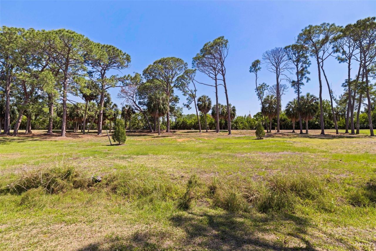 322 80th Avenue Ne, Saint Petersburg, FL 33702 Photo