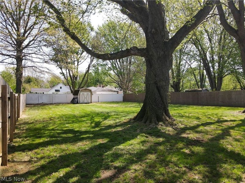 147 Central Drive, Amherst, OH 44001 Photo 35