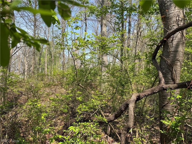 Village Street SE, Canton, OH 44707 Photo 1