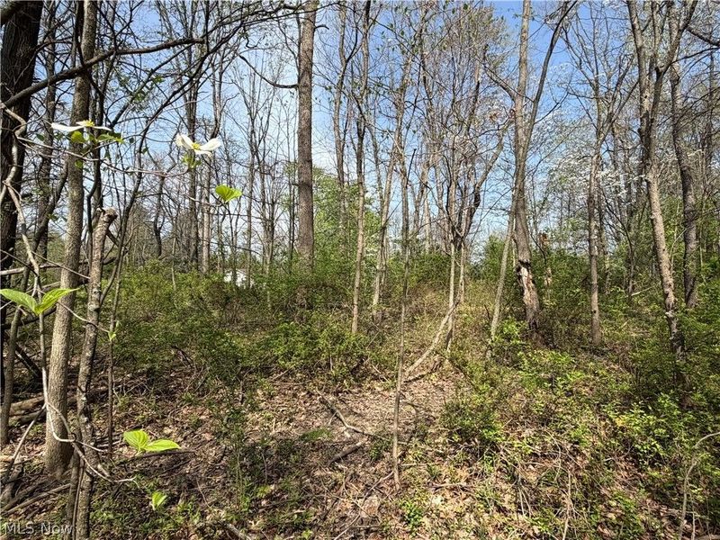 Village Street SE, Canton, OH 44707 Photo 2