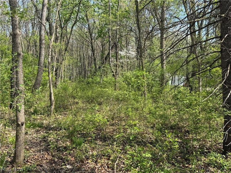 Village Street SE, Canton, OH 44707 Photo 4