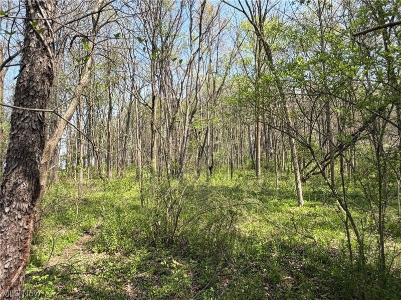 Village Street SE, Canton, OH 44707 Photo 5