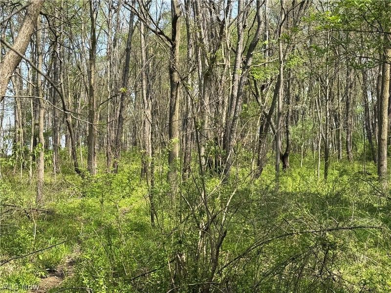 Village Street SE, Canton, OH 44707 Photo 6