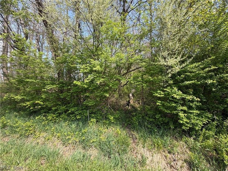 Village Street SE, Canton, OH 44707 Photo 7