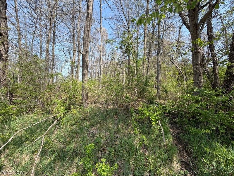 Village Street SE, Canton, OH 44707 Photo 8