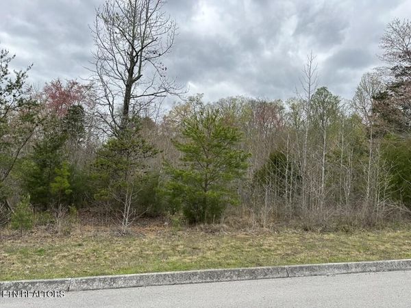 309 Caney View Drive, Harriman, TN 37748