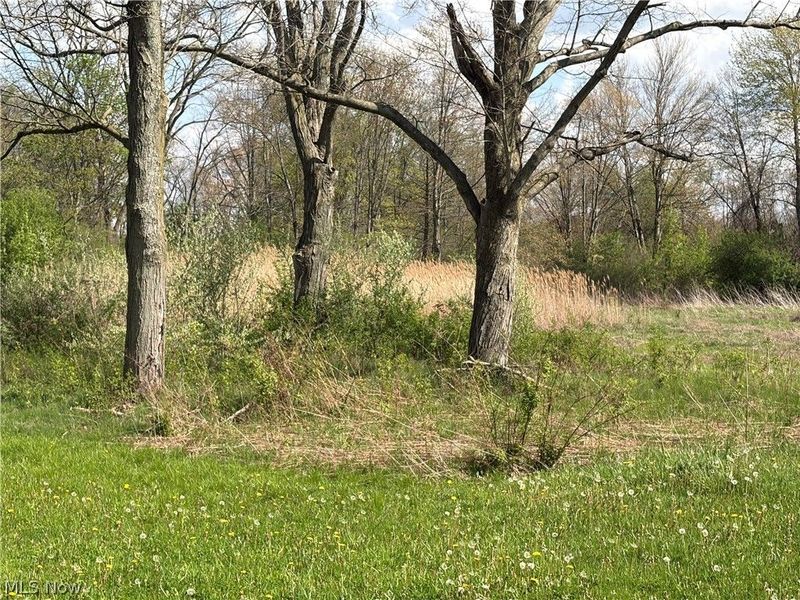 V/L Kibler Road, Akron, OH 44321 Photo 4