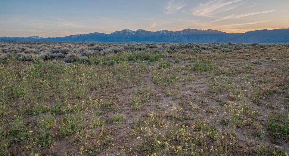 1920 And 1950 Eldon Way, Minden, NV 89423 Photo