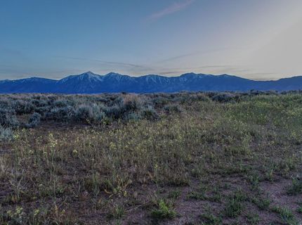 1920 Eldon Way, Minden, NV 89423 Photo