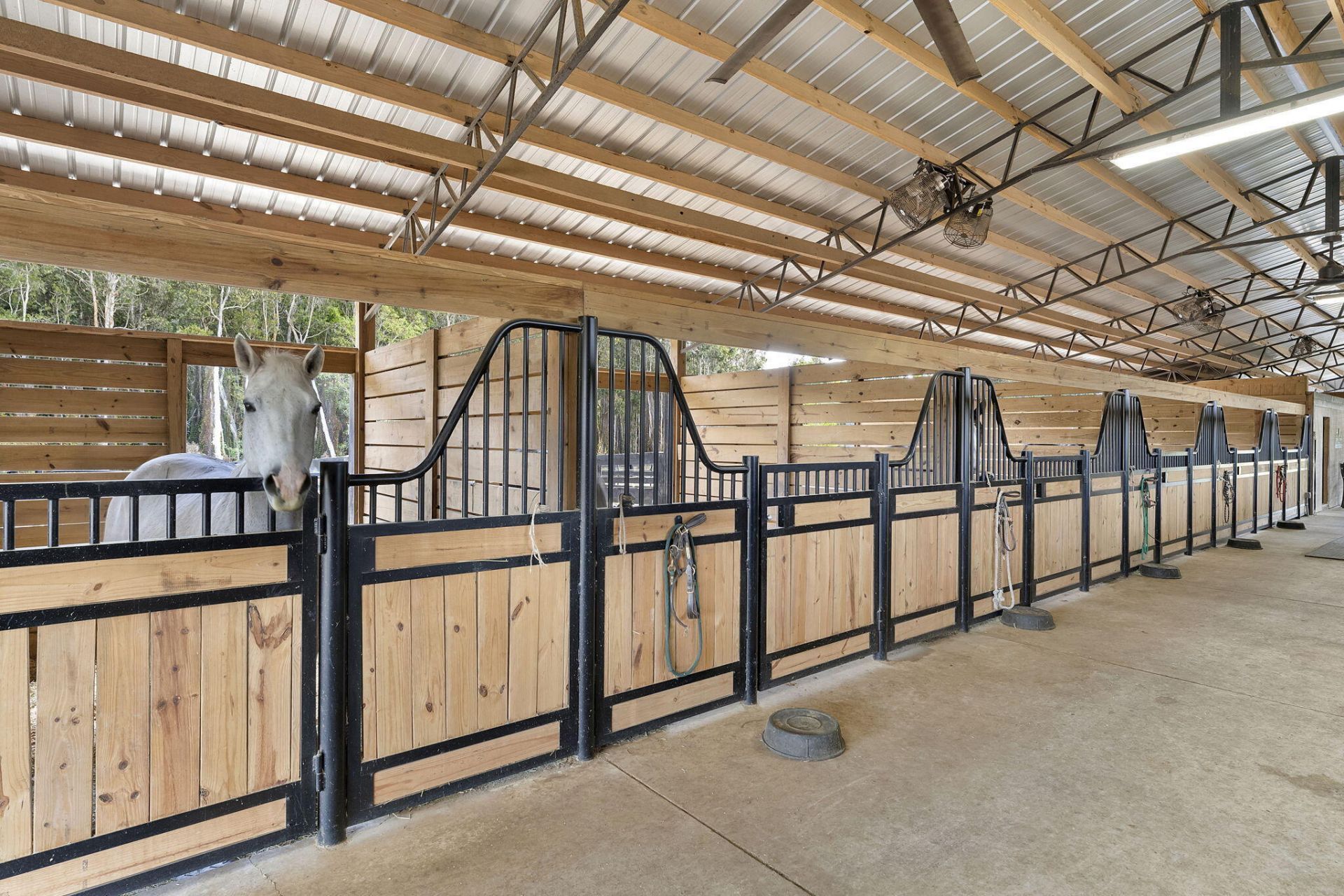 19921 Skyhawk Lane, The Acreage, FL 33470 Photo