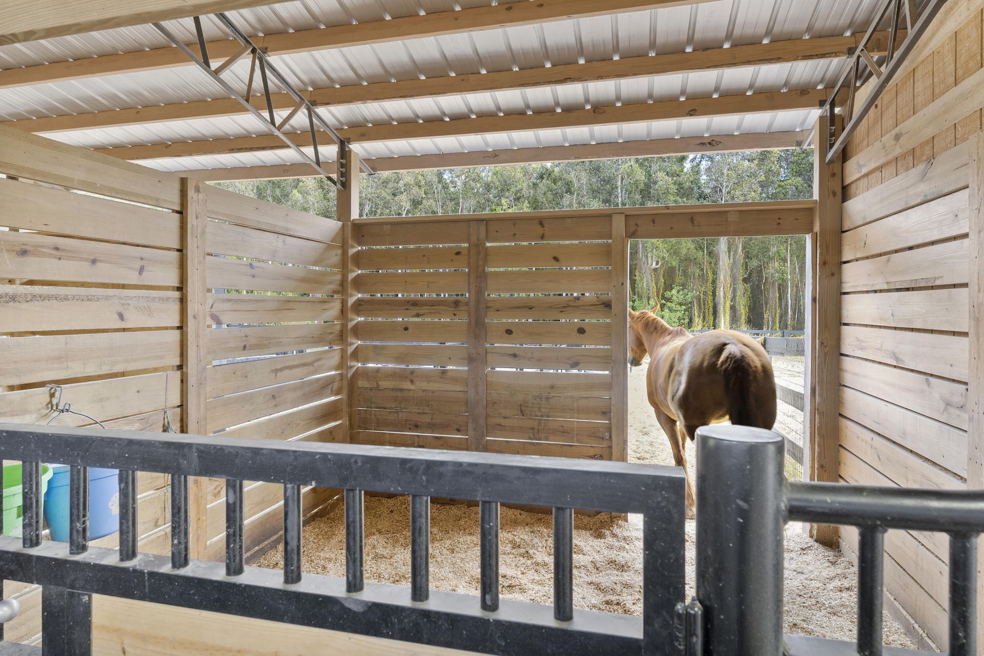 19921 Skyhawk Lane, The Acreage, FL 33470 Photo