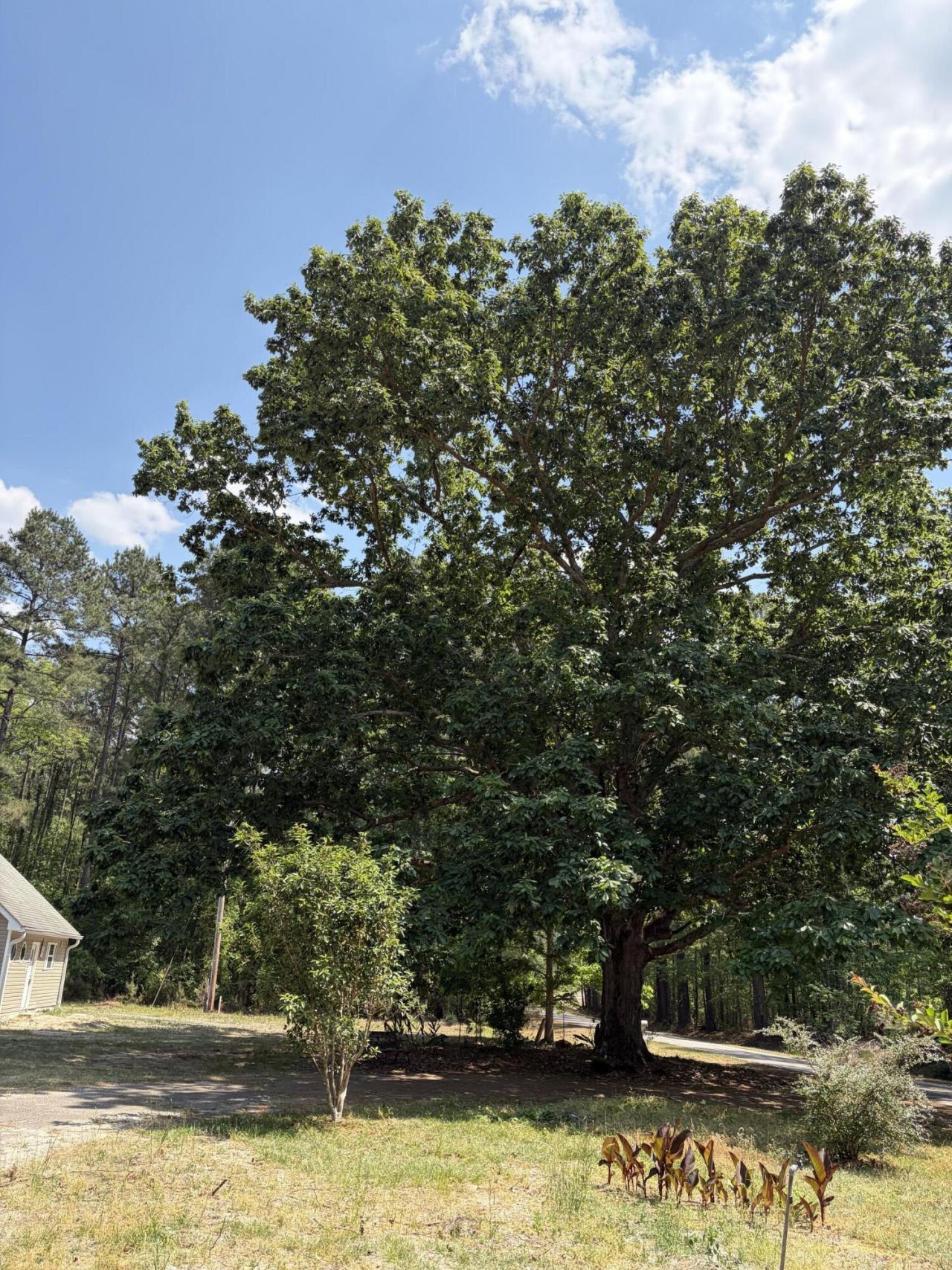 2022 Lumber Road Photo 18