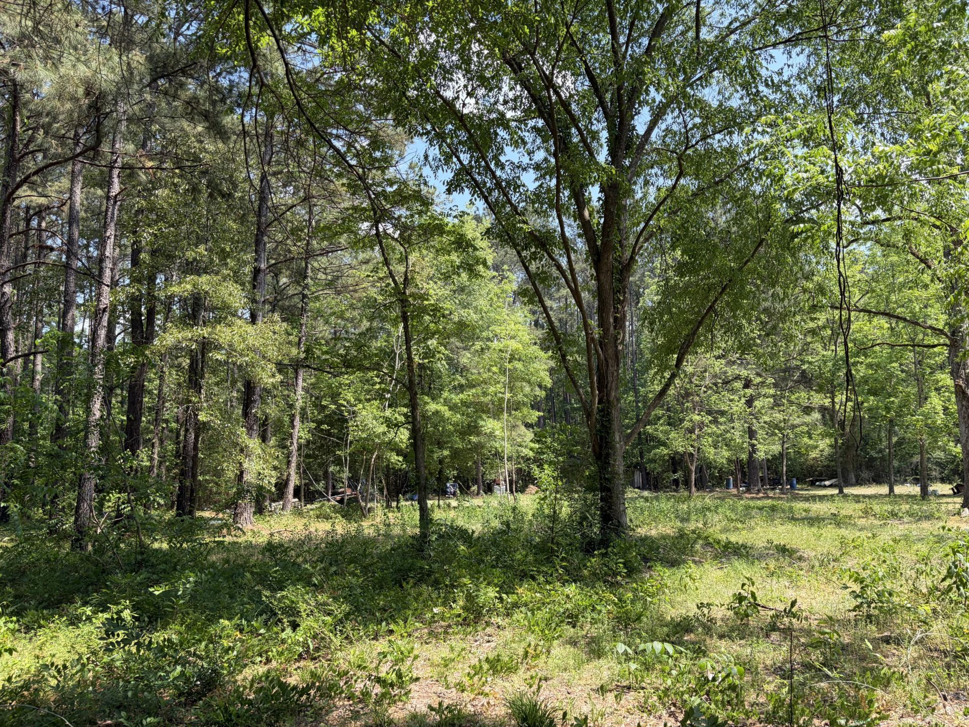 2022 Lumber Road Photo 22