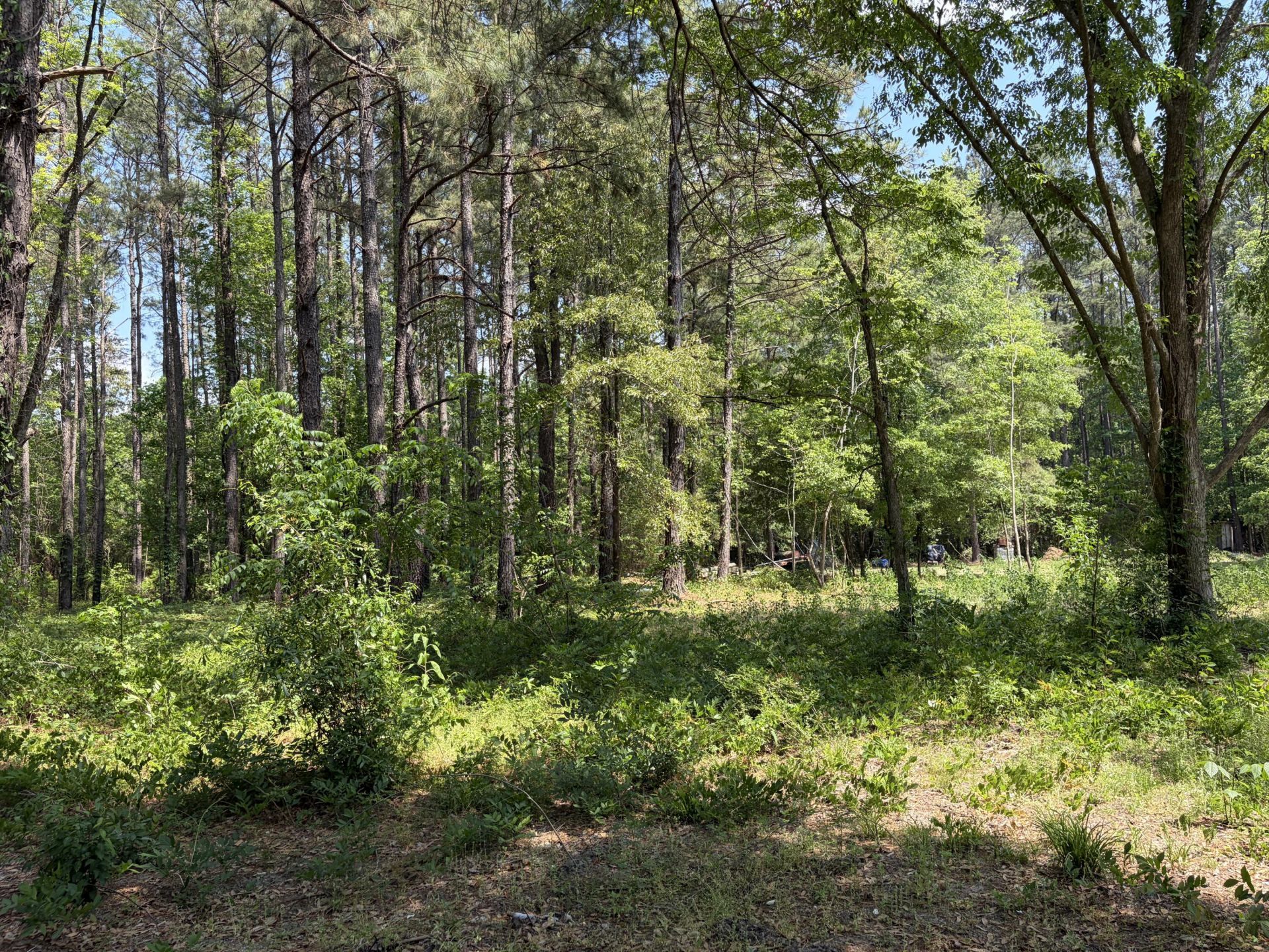 2022 Lumber Road Photo 23